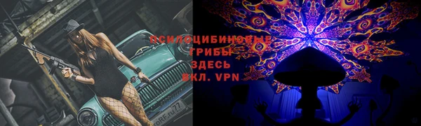 молекула духа Балахна