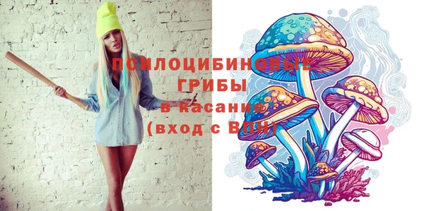 PSILOCYBIN Рославль