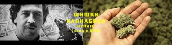 молекула духа Балахна