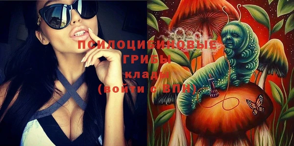 молекула духа Балахна