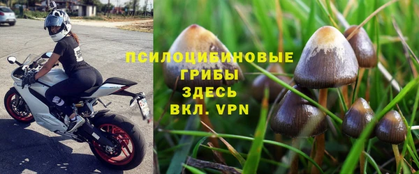 PSILOCYBIN Рославль