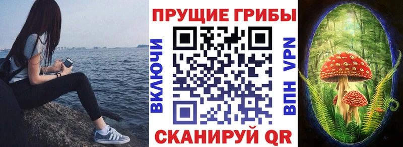 закладки  kraken tor  Псилоцибиновые грибы Psilocybine cubensis  Скопин 